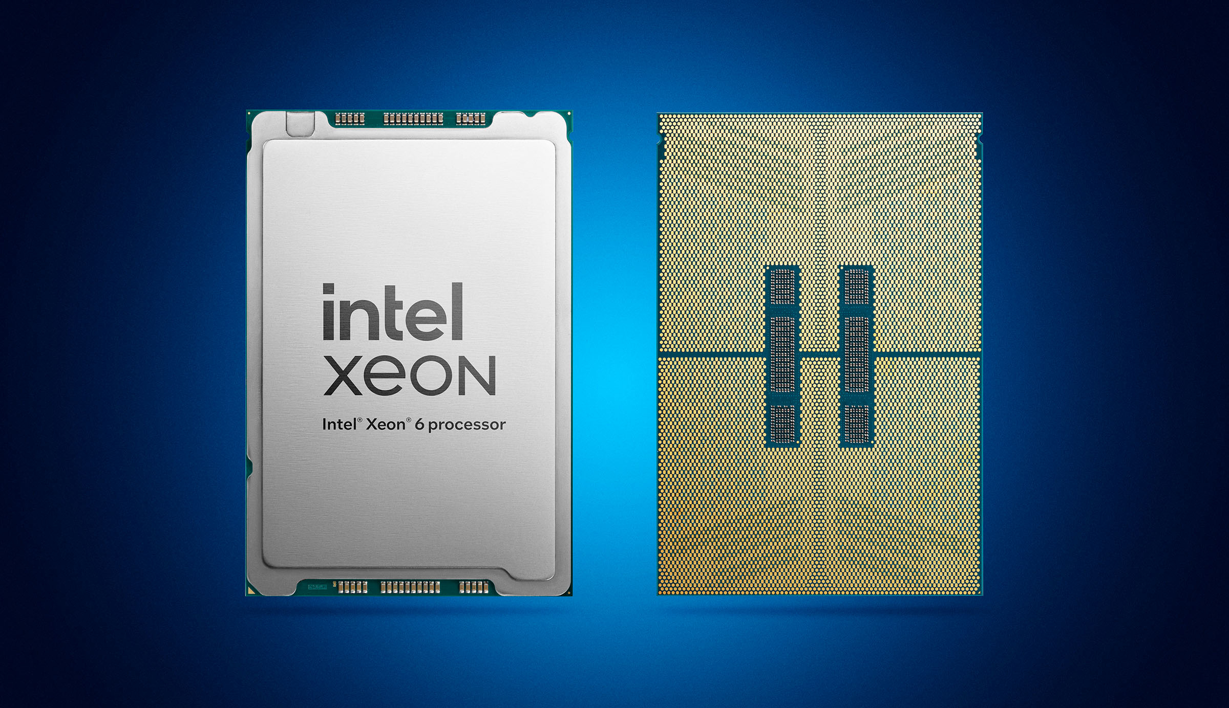 A digital image of an Intel Xeon 6 processor. The front side displays the Intel Xeon branding in silver with black text, while the backside shows the intricate gold pin layout on a blue gradient background.